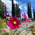 La Collina Dei Sapori * Montepulciano Stazione