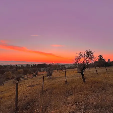 La Collina Dei Sapori Apartamento