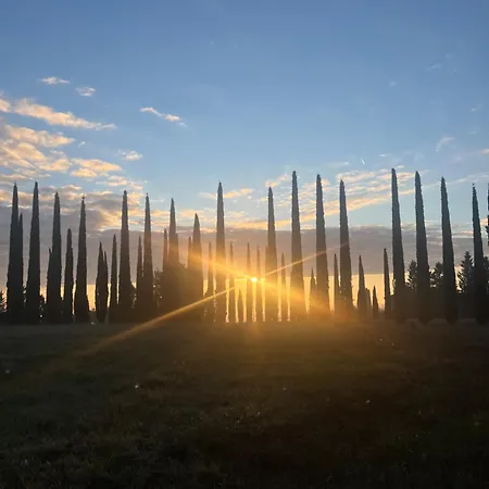 La Collina Dei Sapori Montepulciano Stazione